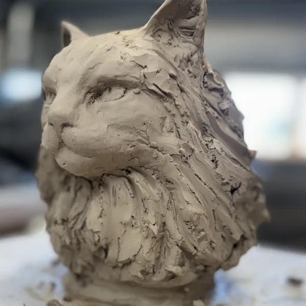 maine coon beeld in keramiek